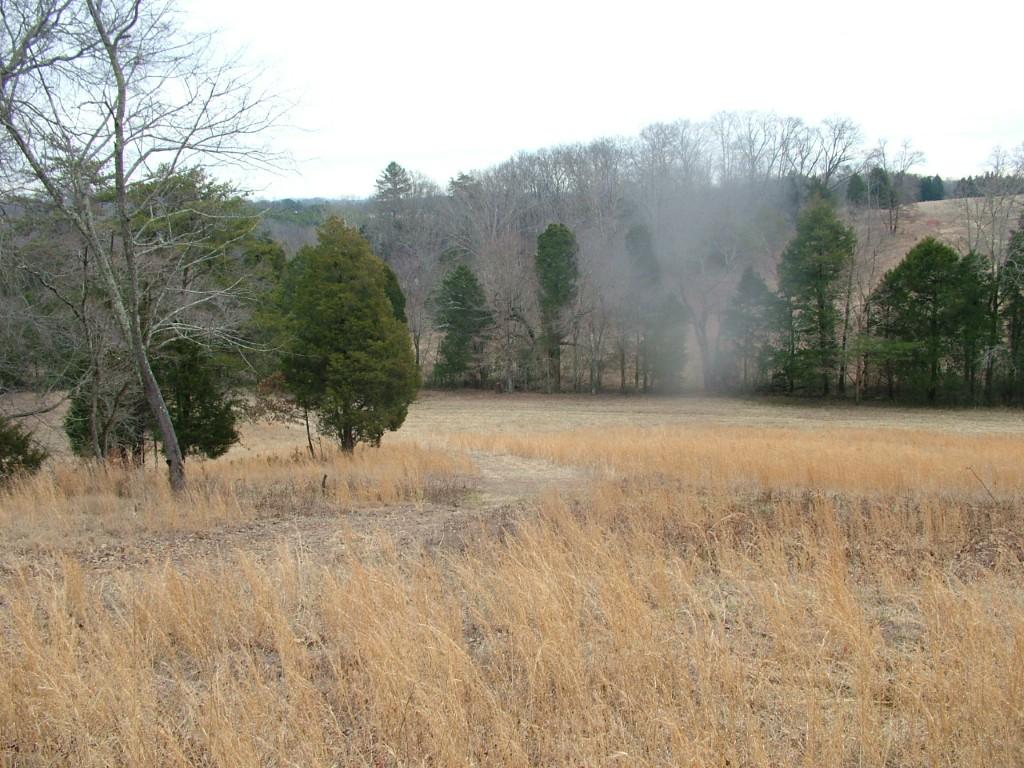 30-acres Dividing Ridge Road Spring City, TN 37381 - Photo 8 of 18 2002-10-09 19