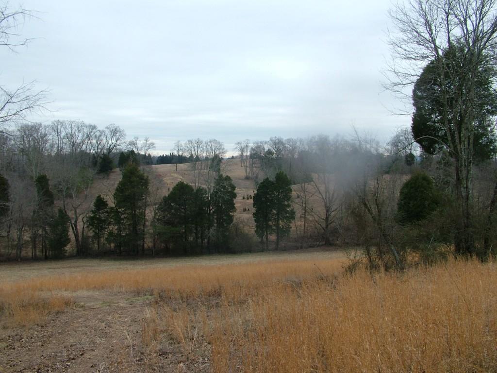 30-acres Dividing Ridge Road Spring City, TN 37381 - Photo 9 of 18 2002-10-09 19