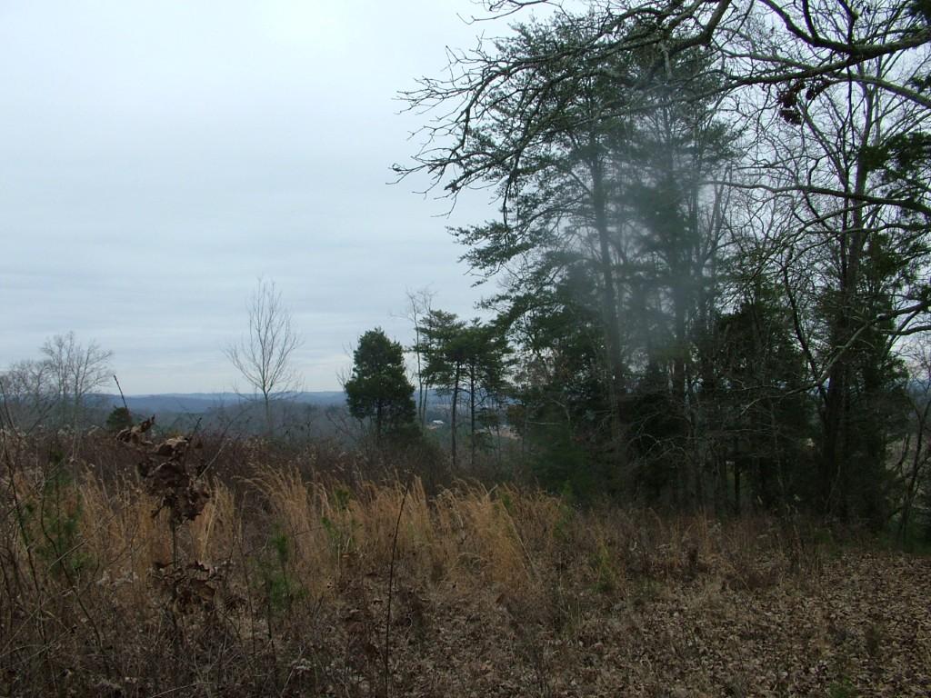 30-acres Dividing Ridge Road Spring City, TN 37381 - Photo 10 of 18 2002-10-09 19