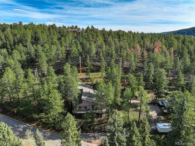 a view of a city with lush green forest