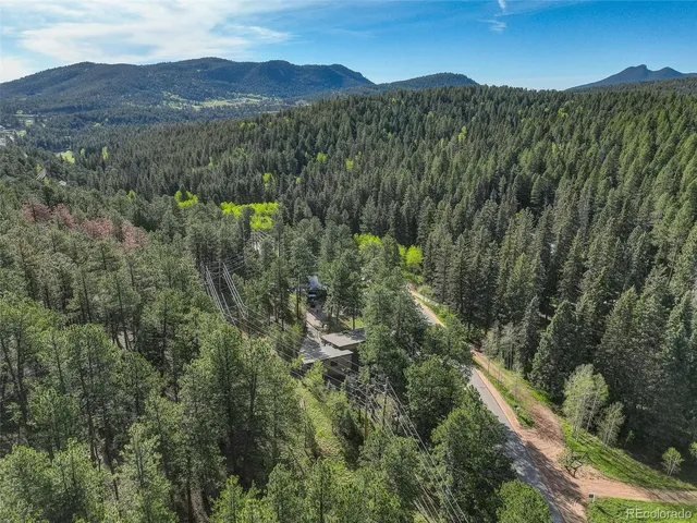 a view of a forest with a street