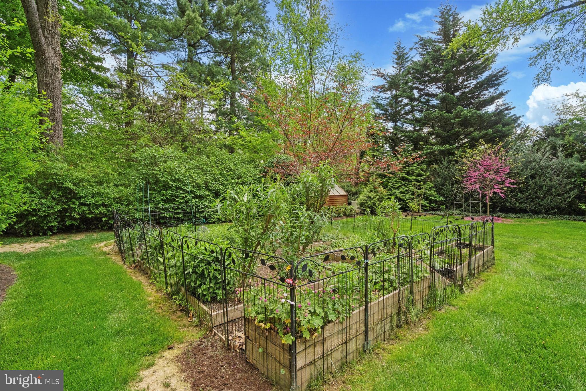 1110 Kingsley Road Rydal, PA 19046 - Photo 61 of 80 Butterfly garden