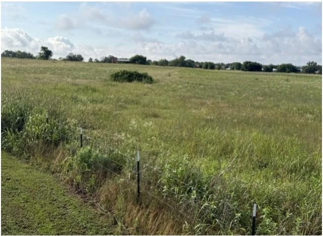 Tbd East 9th Street Springtown, TX 76082 - Photo 3 of 7 a view of a green field with lots of bushes