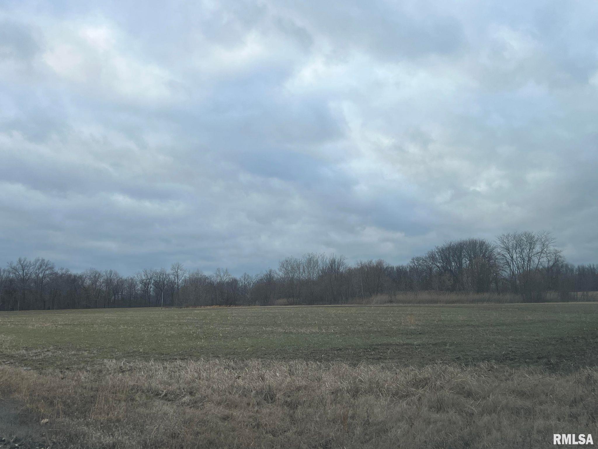 0 Robles Road Macedonia, IL 62860 - Photo 3 of 24