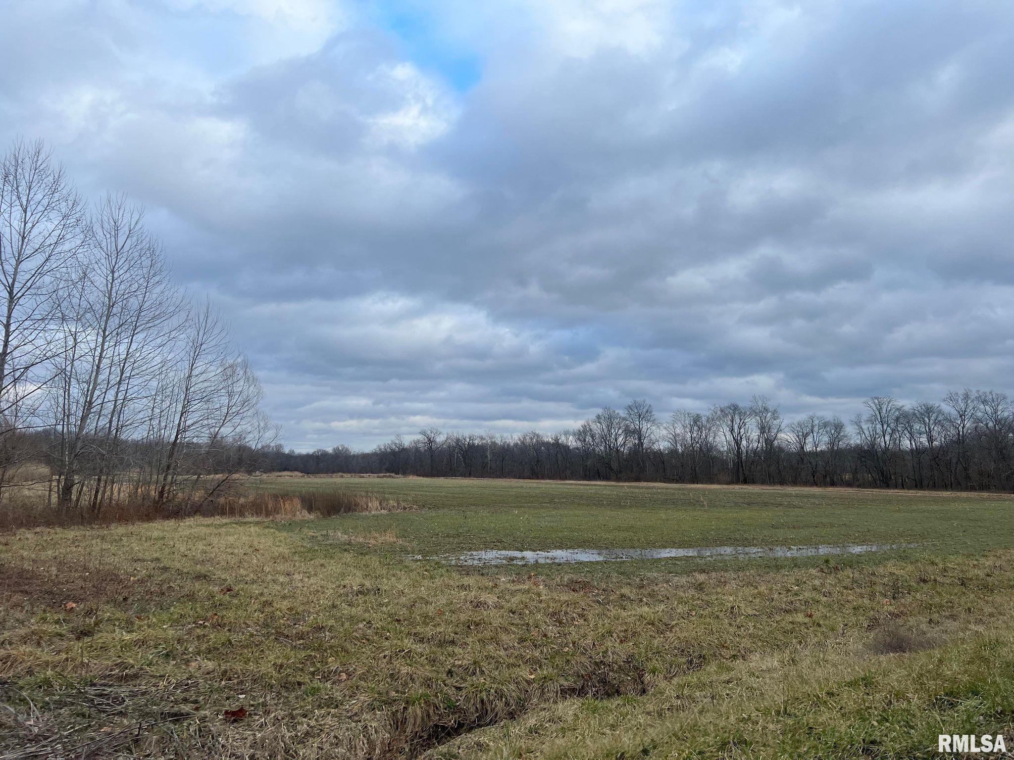 0 Robles Road Macedonia, IL 62860 - Photo 5 of 24