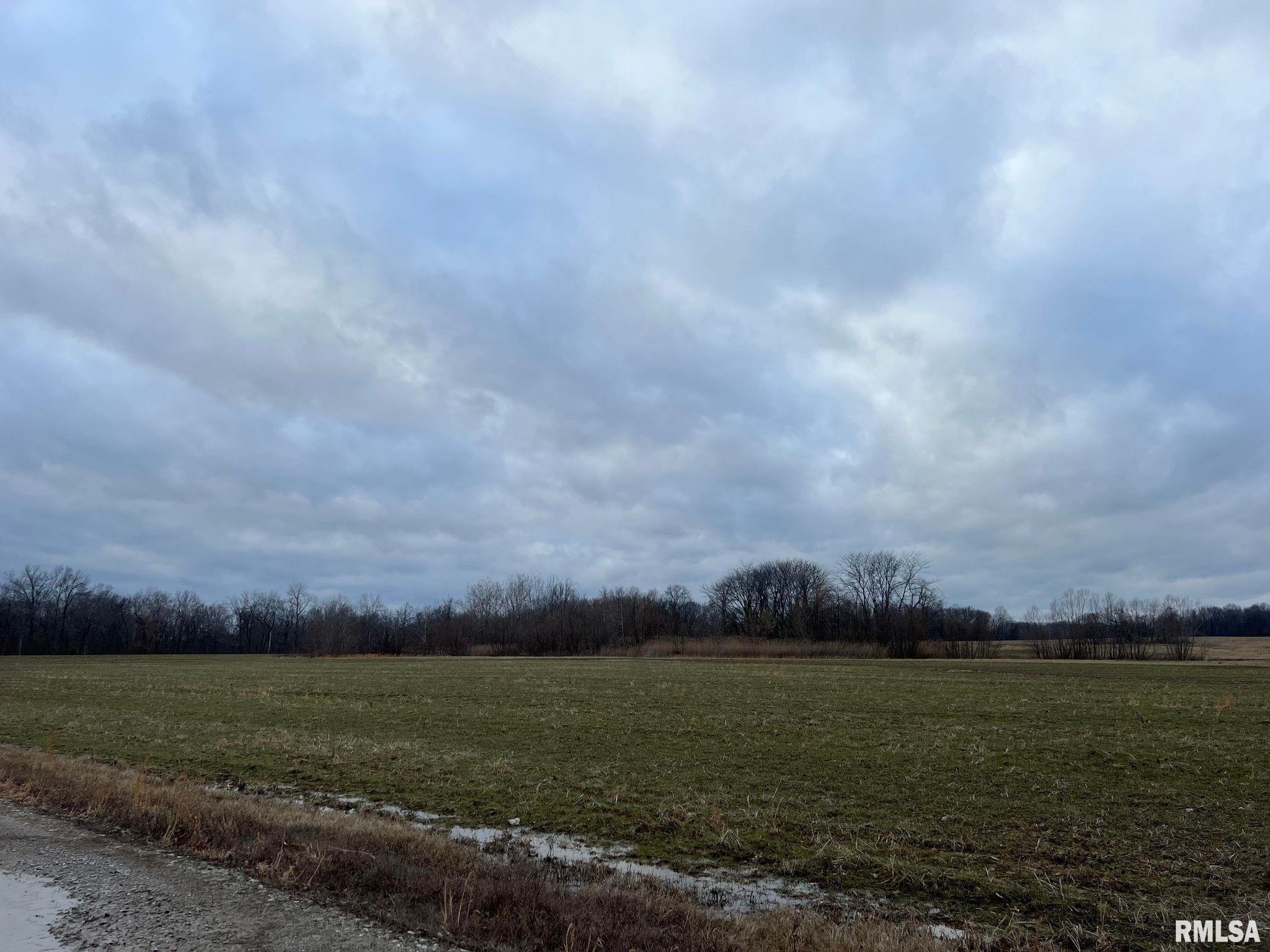0 Robles Road Macedonia, IL 62860 - Photo 8 of 24