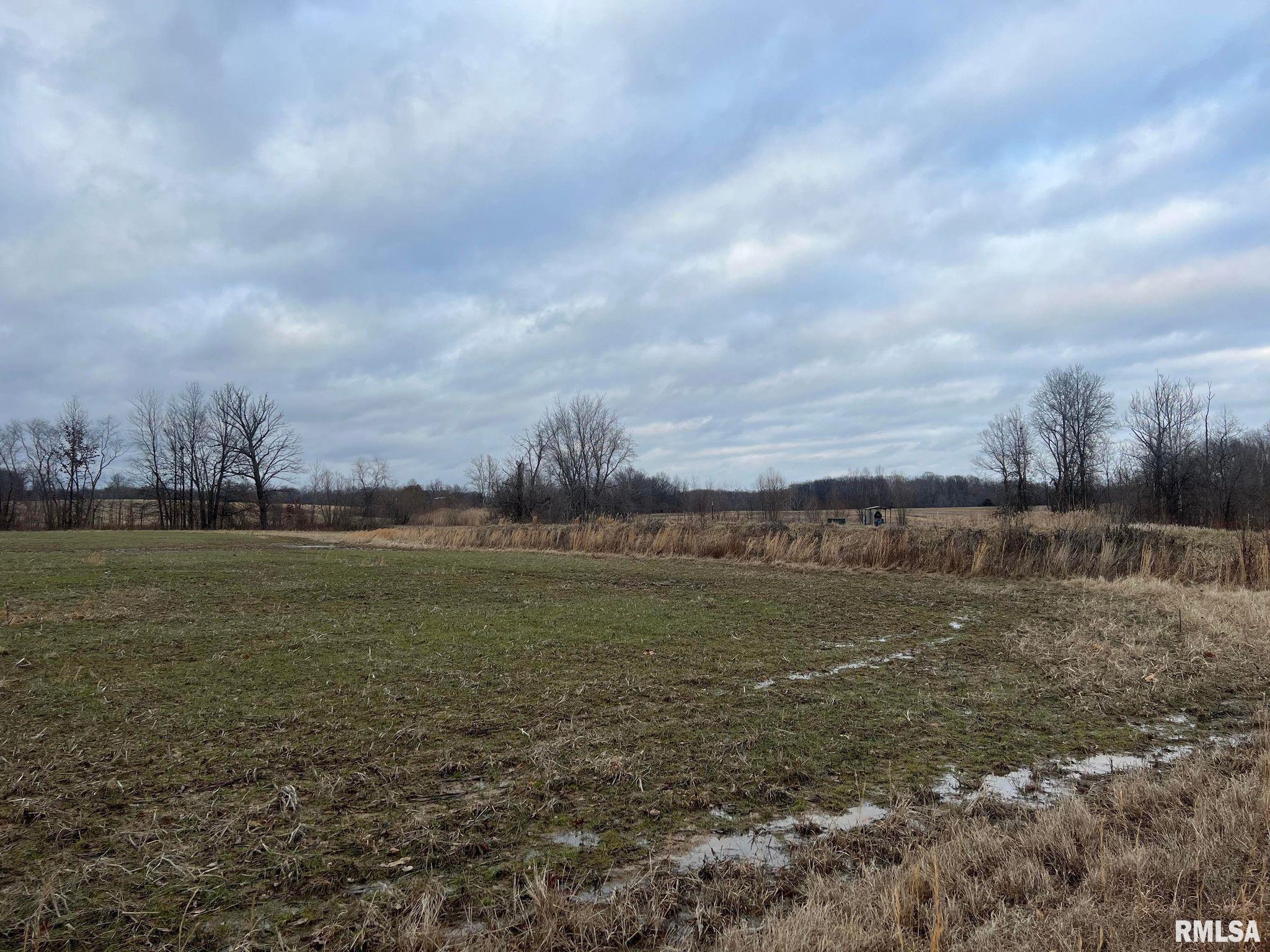 0 Robles Road Macedonia, IL 62860 - Photo 9 of 24