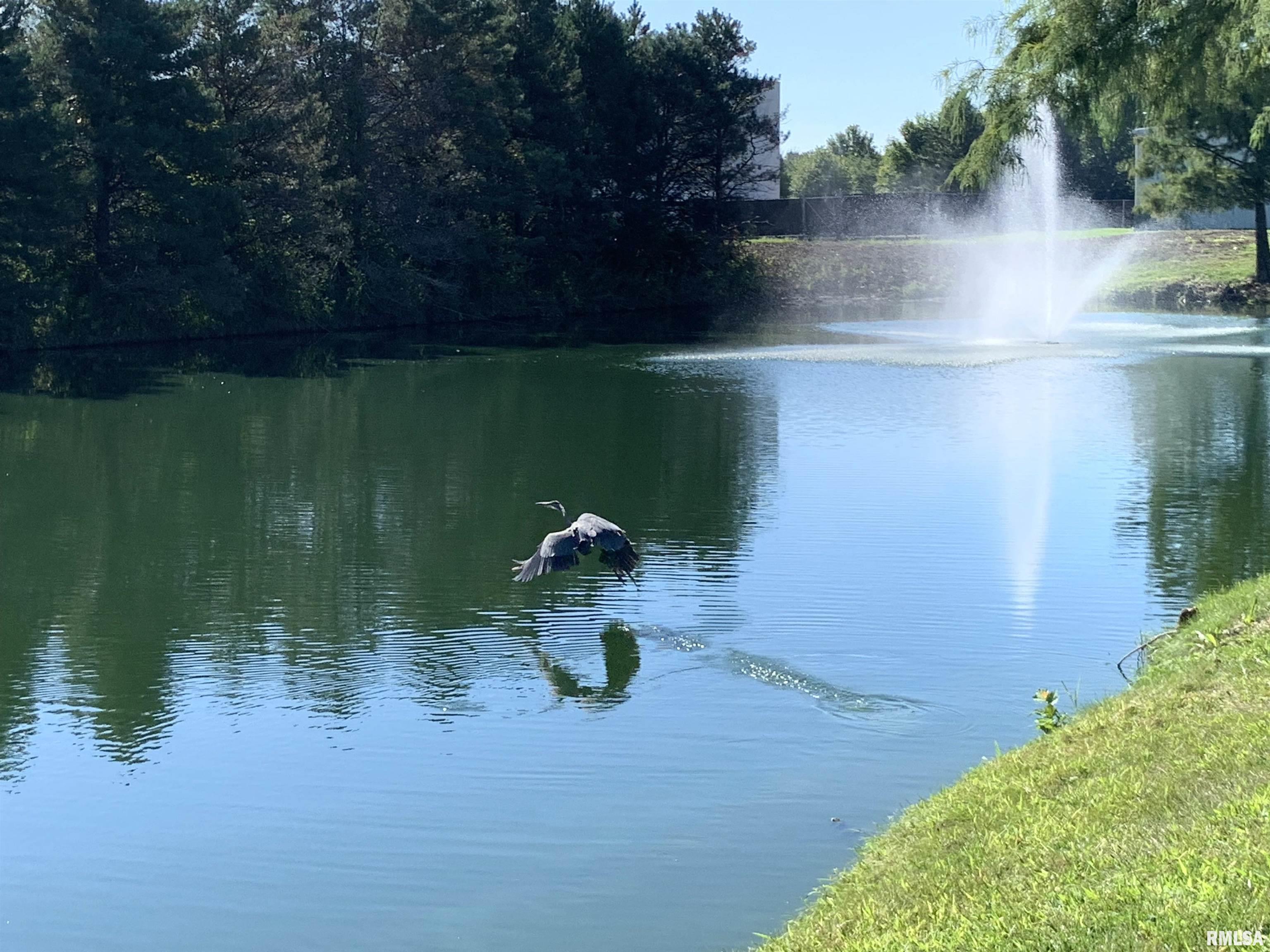 2800 Vía Rosso, Unit 605 Springfield, IL 62703 - Photo 38 of 42