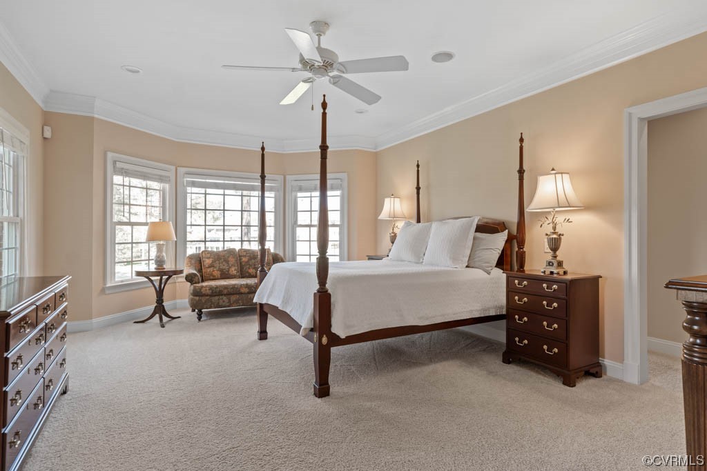 2436 Founders Bridge Road Midlothian, VA 23113 - Photo 19 of 45 a spacious bedroom with a bed and a chandelier
