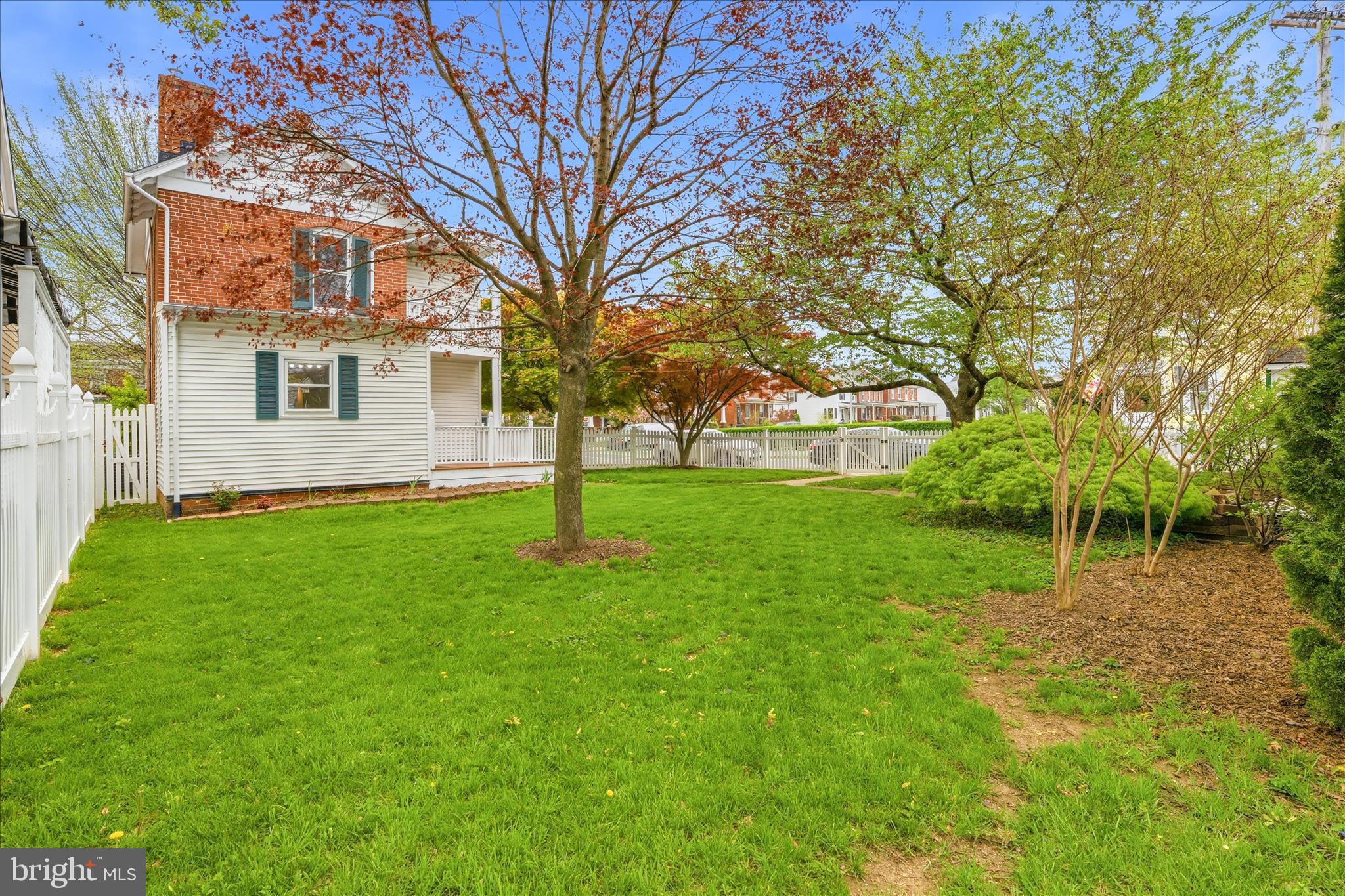 901 North Market Street Frederick, MD 21701 - Photo 25 of 42 Backyard