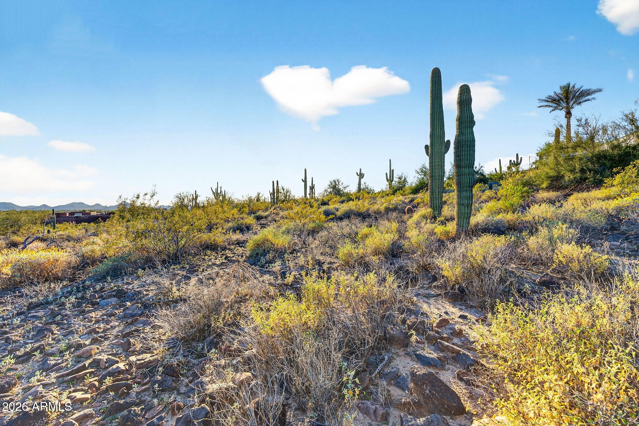 2915 Dolores Road Phoenix, AZ 85086 - Photo 29 of 50 Wonderful lot