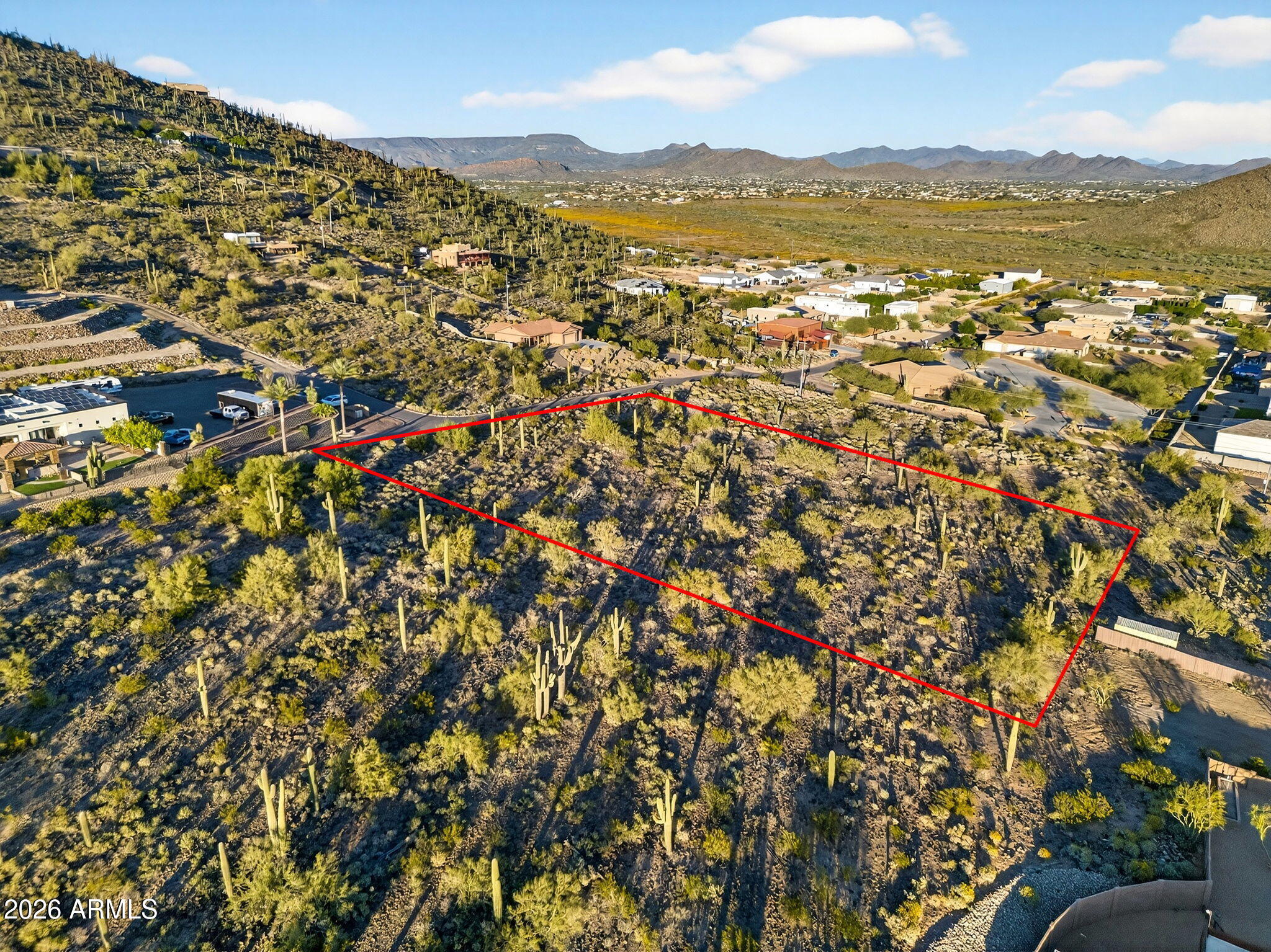 Spectacular lot!