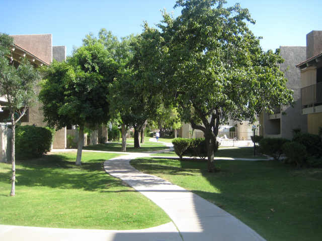 5525 East Thomas Road Phoenix, AZ 85018 - Photo 1 of 6 Primary Photo