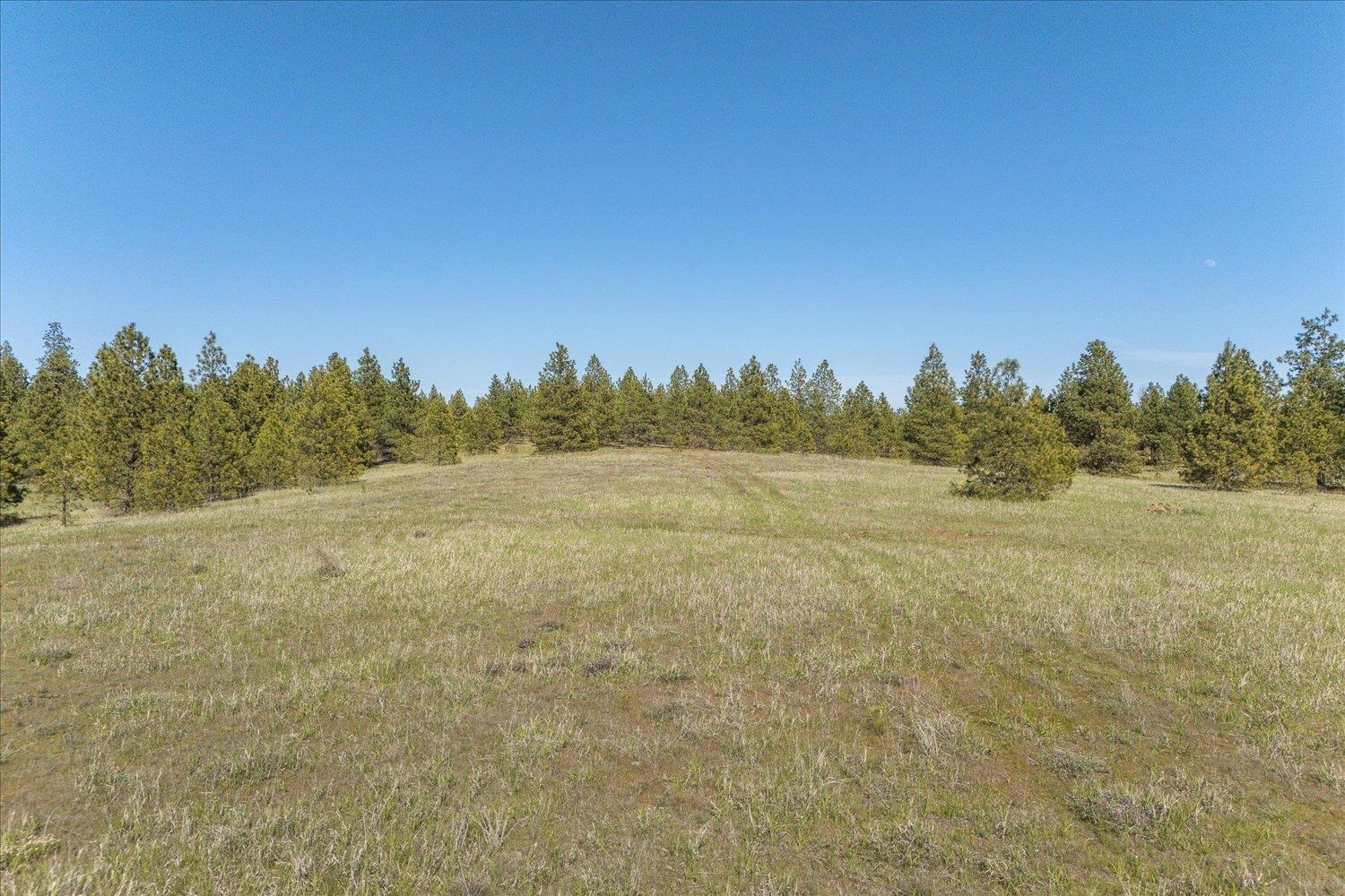 -xx North Rambo Road Spokane, WA 99224 - Photo 16 of 17