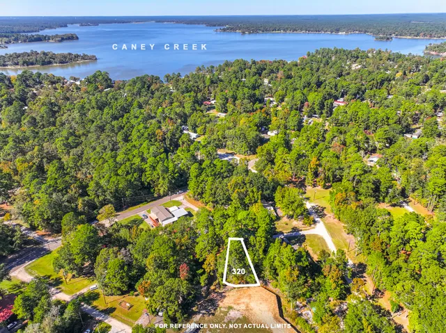 a view of a bunch of plants