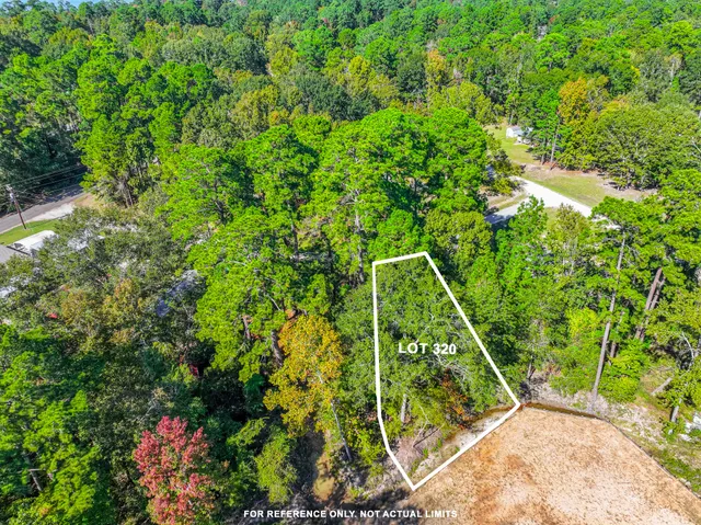 $15,000 | 0 Harbor Point, Trinity, TX 75862