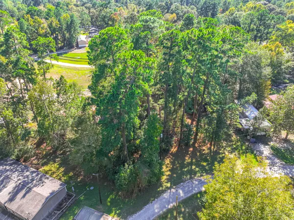 a view of a tree with a tree