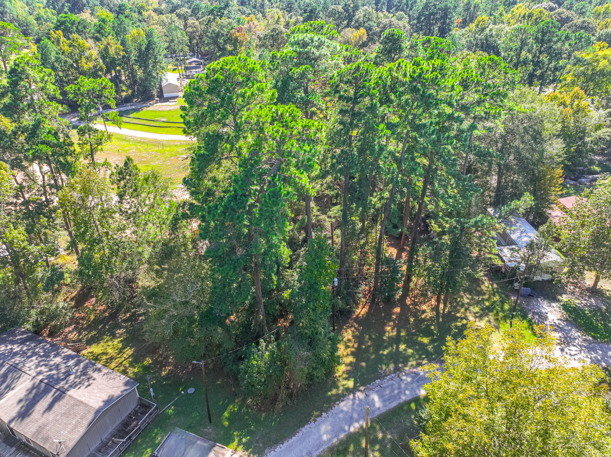 0 Harbor Point Trinity, TX 75862 - Photo 6 of 15