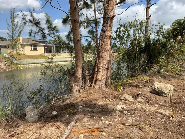 a view of a yard with plants
