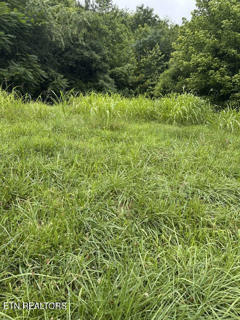 612 Mill Drive Decatur, TN 37322 - Photo 6 of 9 IMG_7519