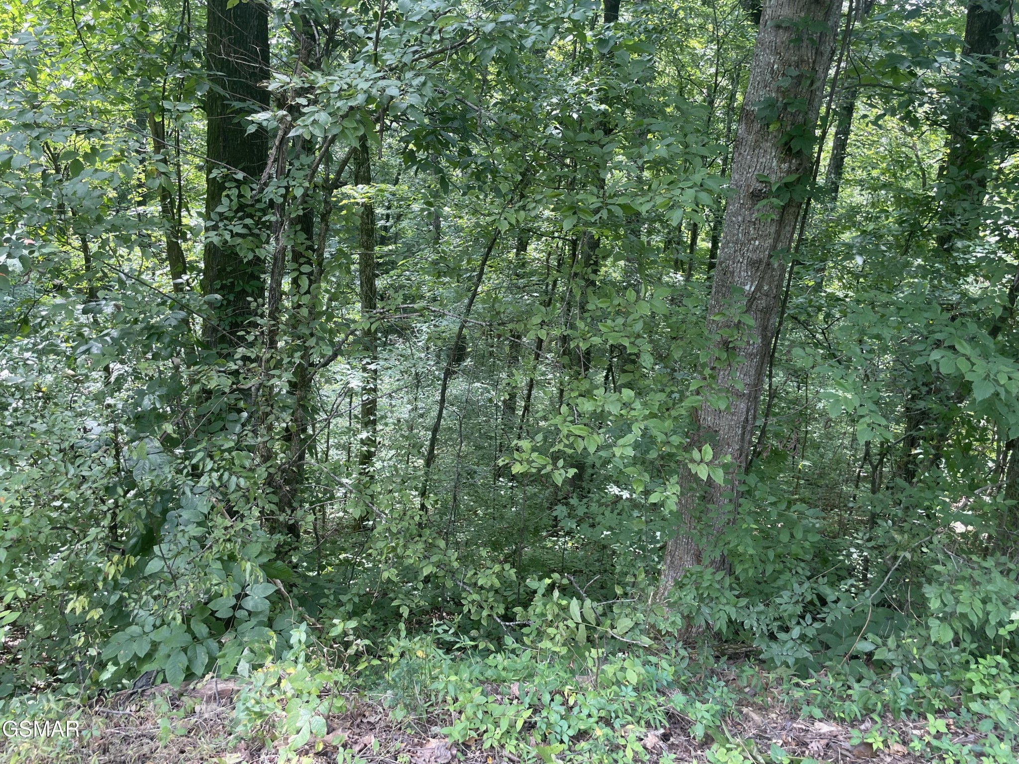 1 King Estates Road Sevierville, TN 37876 - Photo 6 of 9