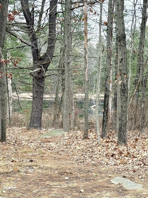 371 Wilbraham Street, Unit 1 Palmer, MA 01069 - Photo 21 of 21 a view of a backyard of the house