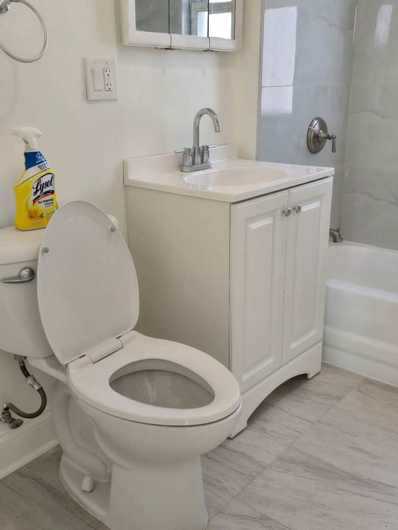 10758 South Indiana Avenue, Unit 2 Chicago, IL 60628 - Photo 4 of 8 a bathroom with a sink a toilet and a mirror