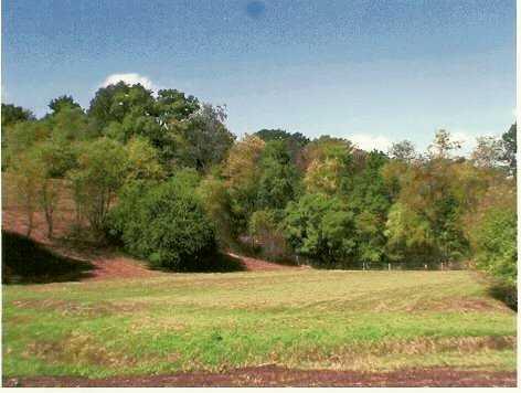 143 Sundust Road Eighty Four, PA 15330 - Photo 3 of 8