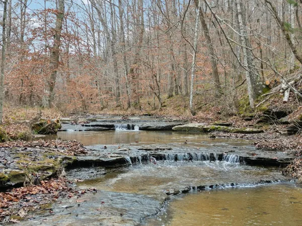 a view of ocean with large trees