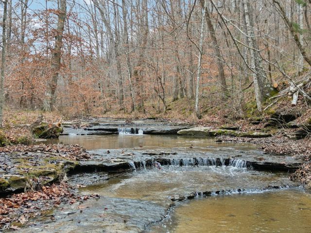 a view of ocean with large trees