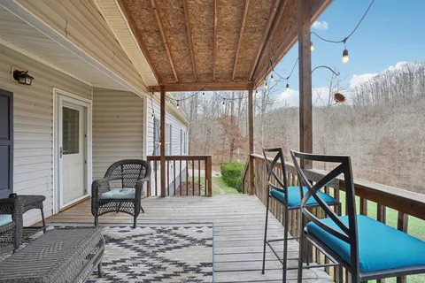 a view of a yard with trees in front of it
