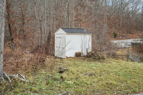 a view of yard with trees