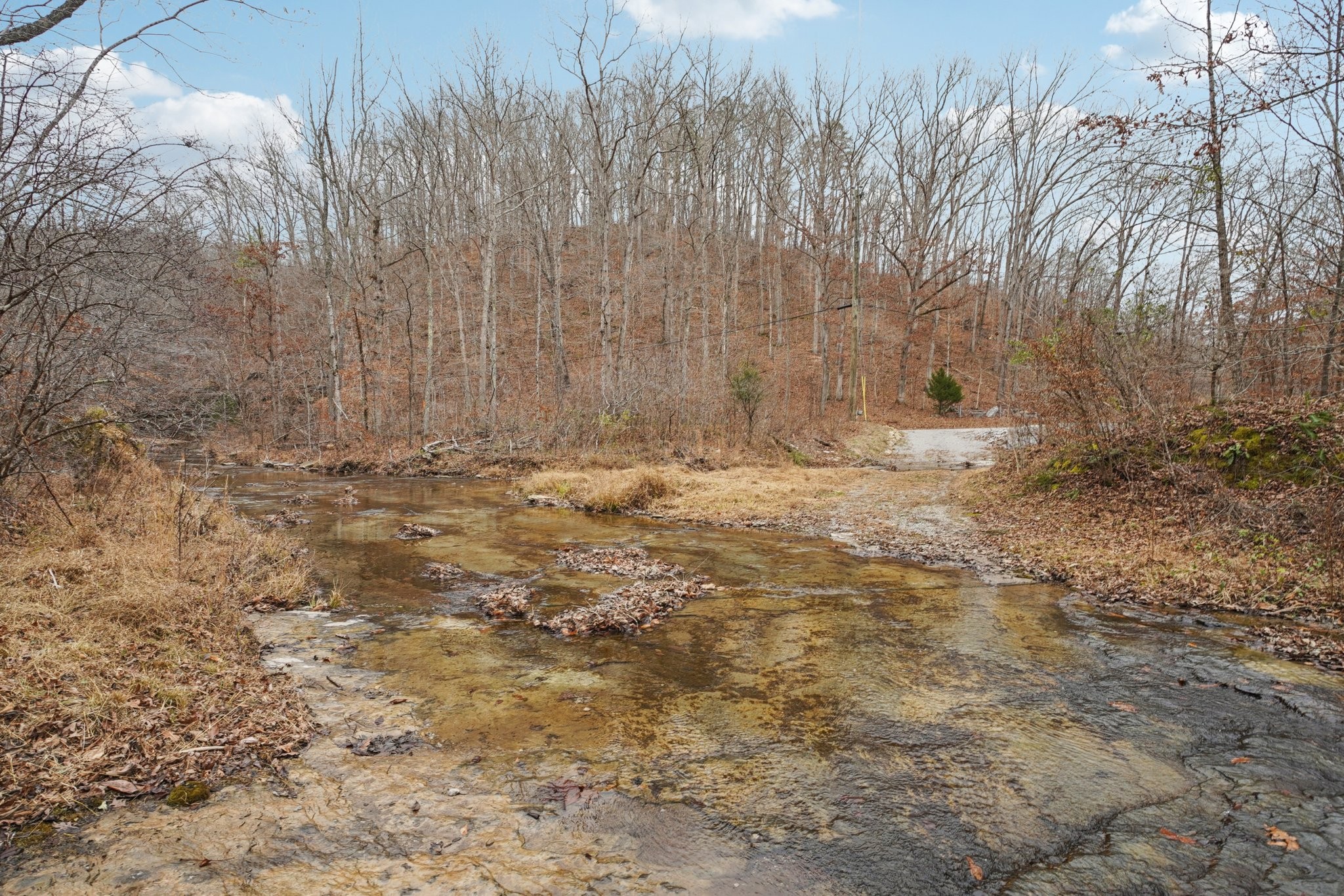 3668 Old Sams Creek Road Pegram, TN 37143 - Photo 40 of 60 a view of water and covered with trees