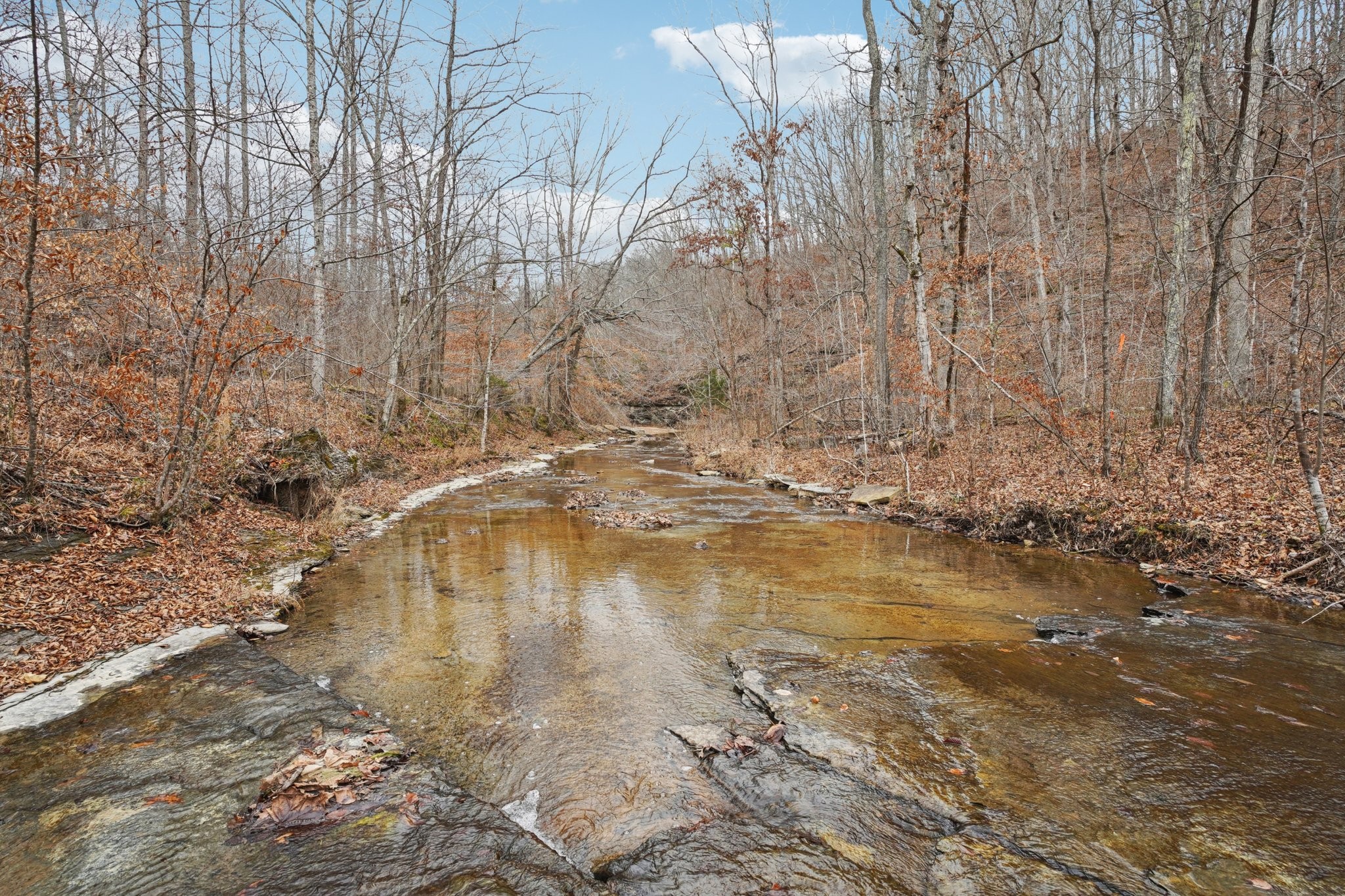 3668 Old Sams Creek Road Pegram, TN 37143 - Photo 42 of 60