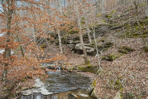 a view of swimming pool with a yard
