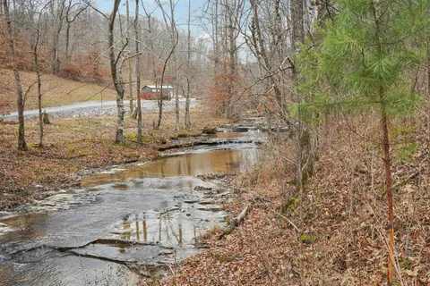 a view of a dry yard with lots of trees