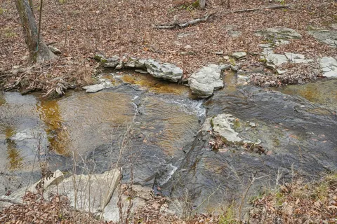 a backyard of a house