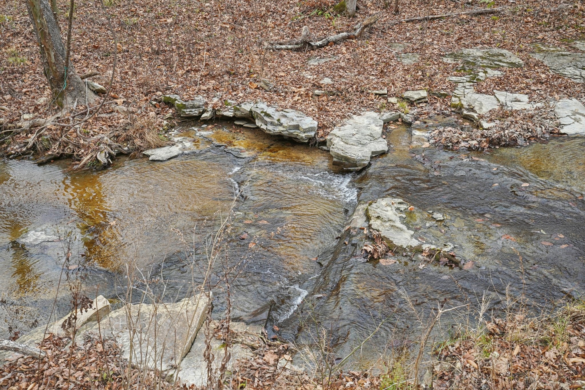 3668 Old Sams Creek Road Pegram, TN 37143 - Photo 49 of 60