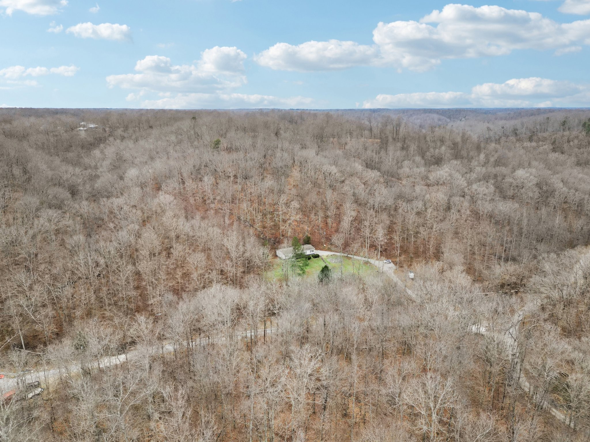 3668 Old Sams Creek Road Pegram, TN 37143 - Photo 56 of 60 a view of a dry yard with lots of trees