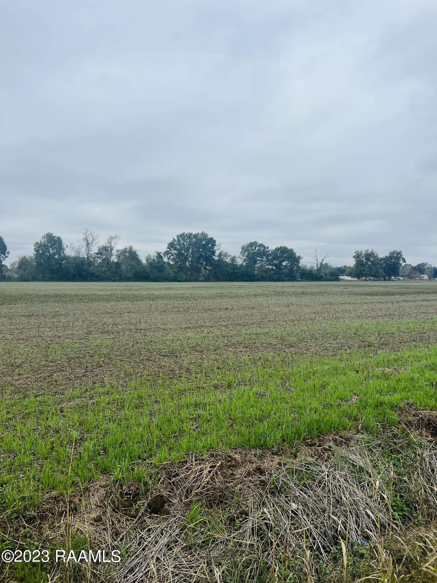 Tbd Tbd Tifrere Road Carencro, LA 70520 - Photo 5 of 6 TBD Tifrere Rd., Lot View 1