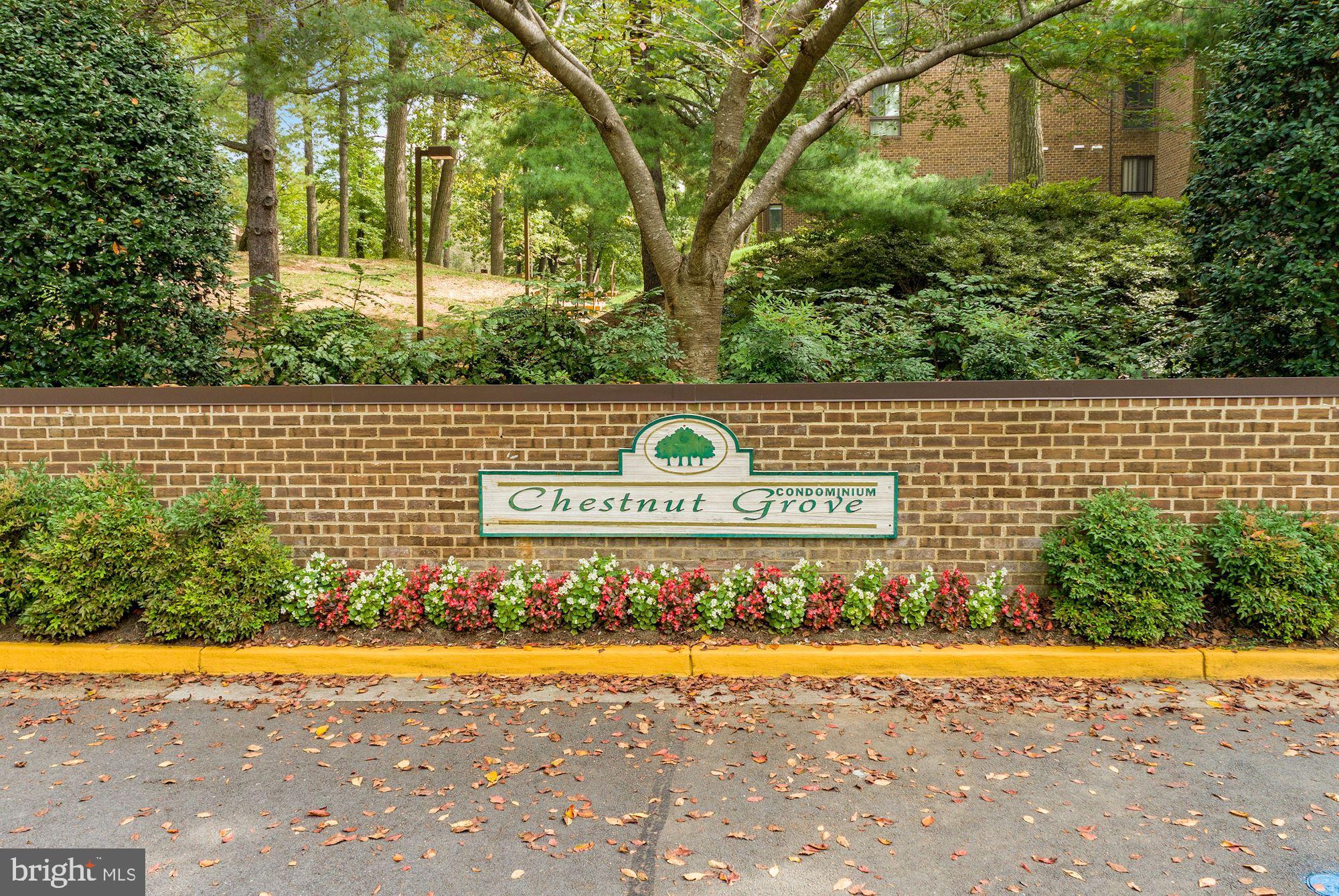 11220 Chestnut Grove Square, Unit 323 Reston, VA 20190 - Photo 27 of 39 Gallery Image 27