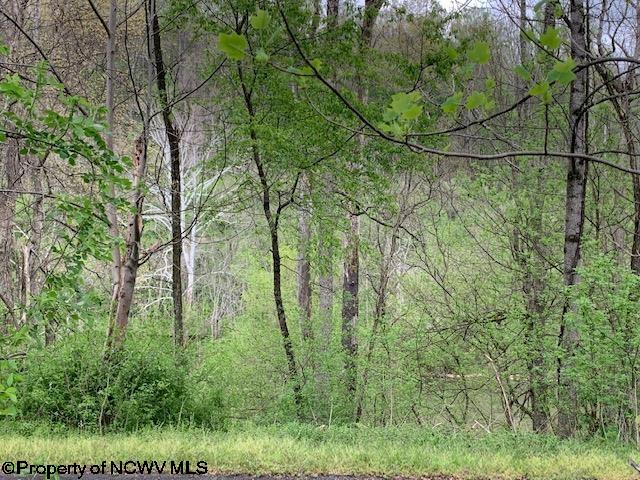 154 Everson Road Fairmont, WV 26554 - Photo 22 of 28 Gallery Image 22