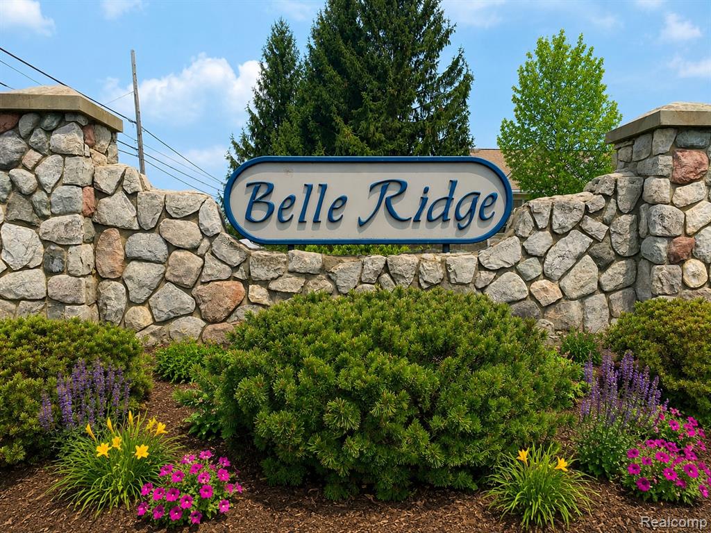 4171 Belle Ridge Drive Dryden, MI 48428 - Photo 2 of 22