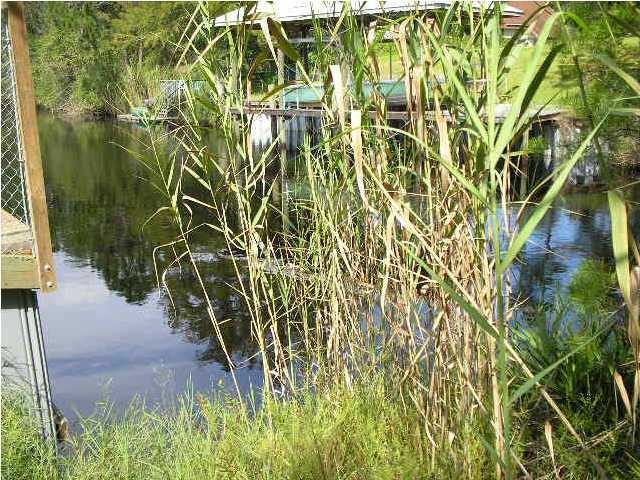 Lot 64 West W Point Santa Rosa Beach, FL 32459 - Photo 3 of 13 Additional Photo