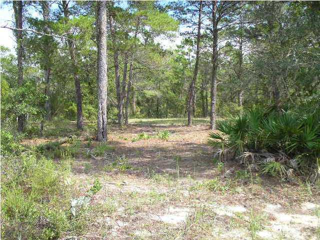 Lot 64 West W Point Santa Rosa Beach, FL 32459 - Photo 5 of 13 Additional Photo