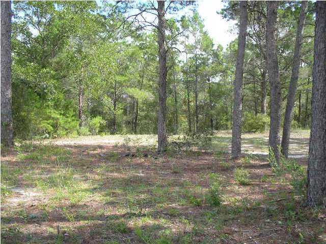 Lot 64 West W Point Santa Rosa Beach, FL 32459 - Photo 7 of 13 Additional Photo