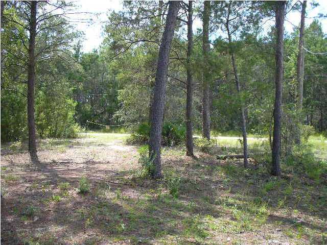 Lot 64 West W Point Santa Rosa Beach, FL 32459 - Photo 9 of 13 Additional Photo