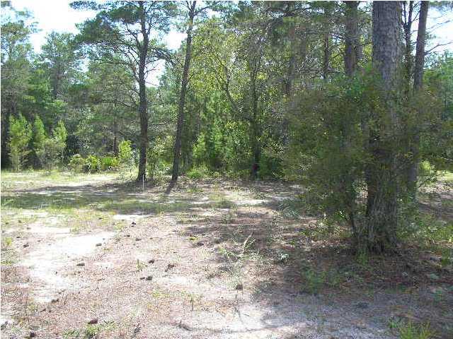 Lot 64 West W Point Santa Rosa Beach, FL 32459 - Photo 10 of 13 Additional Photo