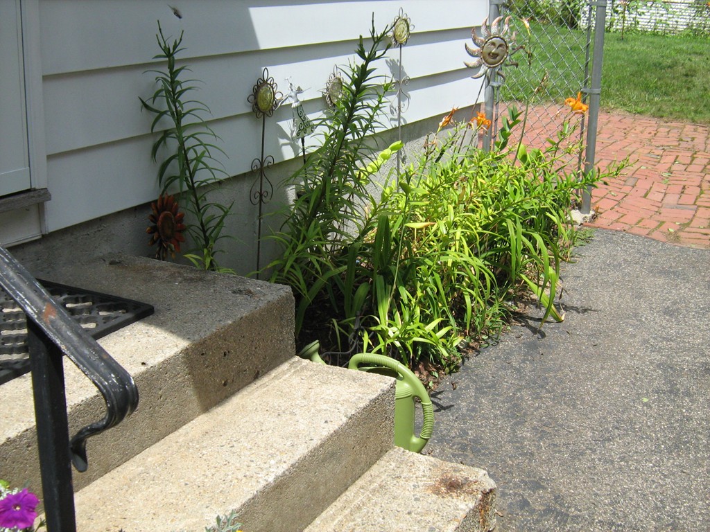 115 Osborne Terrace Springfield, MA 01104 - Photo 4 of 17 Gallery Image 4