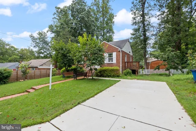 a park with large trees and plants